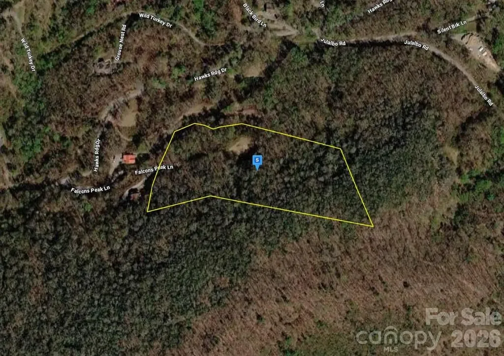 4 Falcons Peak Lane Whittier NC 28789
