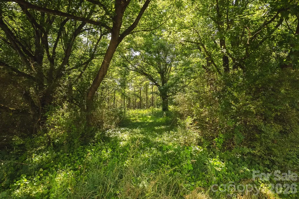 Tbd Jeff Price Lane Taylorsville NC 28681
