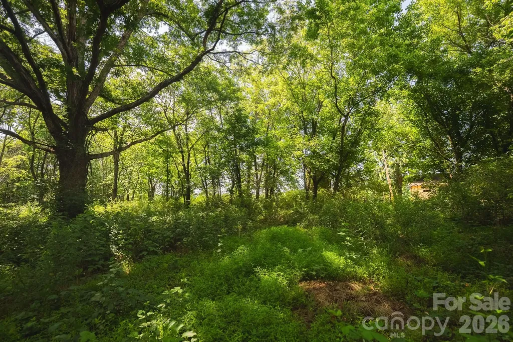 Tbd Jeff Price Lane Taylorsville NC 28681
