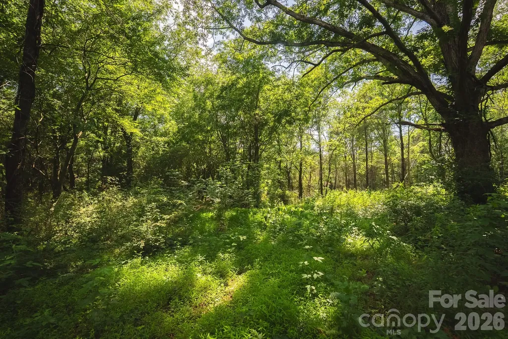 Tbd Jeff Price Lane Taylorsville NC 28681