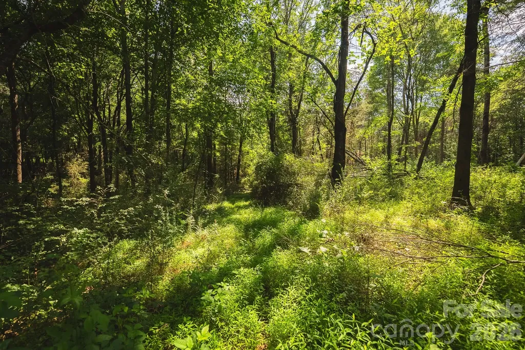 Tbd Jeff Price Lane Taylorsville NC 28681