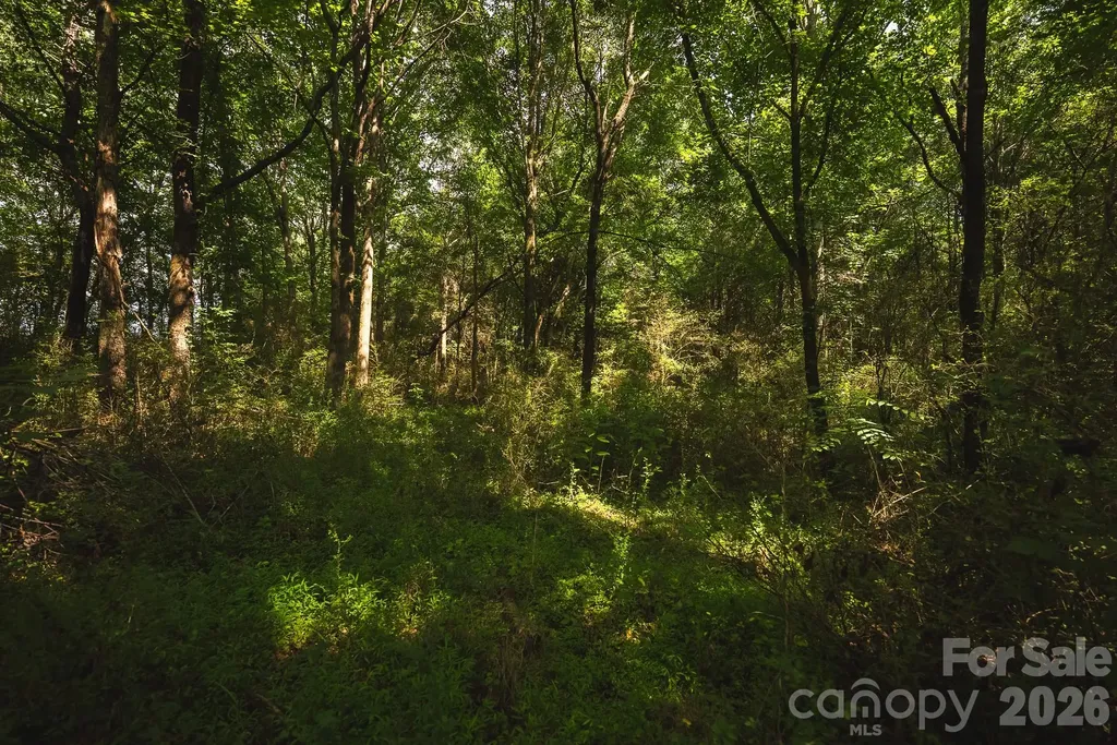 Tbd Jeff Price Lane Taylorsville NC 28681