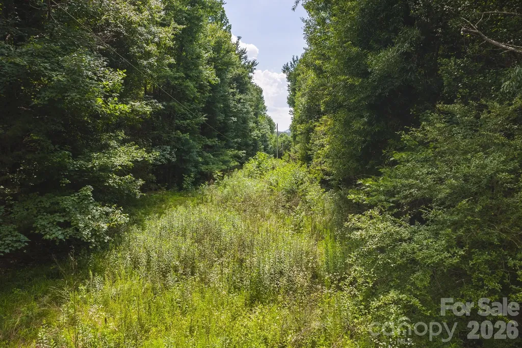 Tbd Jeff Price Lane Taylorsville NC 28681