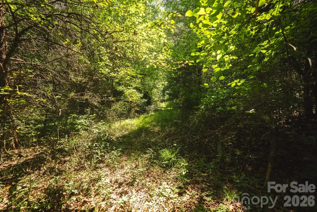 Tbd Jeff Price Lane Taylorsville NC 28681
