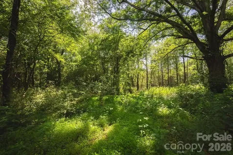 Tbd Jeff Price Lane Taylorsville NC 28681