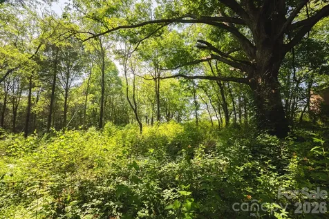 Tbd Jeff Price Lane Taylorsville NC 28681