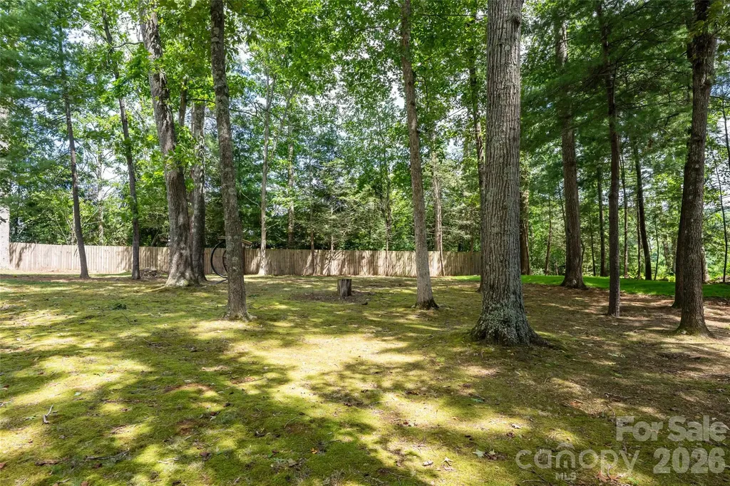 24 Amherst Road Biltmore Forest NC 28803