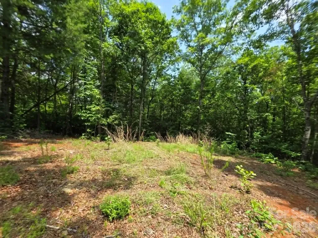 169 Fairfield Lane Marion NC 28752