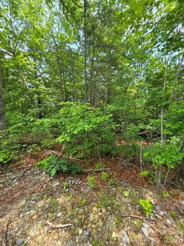 169 Fairfield Lane Marion NC 28752