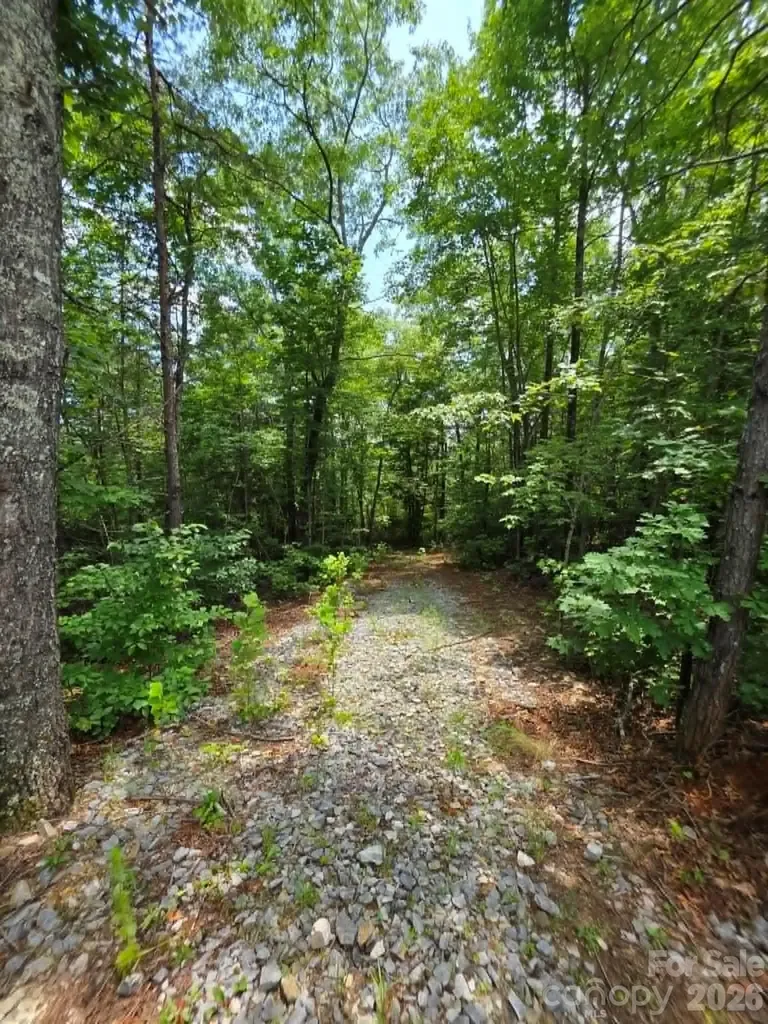 169 Fairfield Lane Marion NC 28752