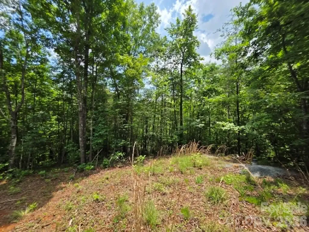 169 Fairfield Lane Marion NC 28752