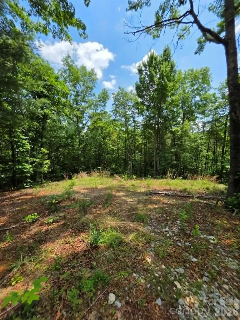 169 Fairfield Lane Marion NC 28752