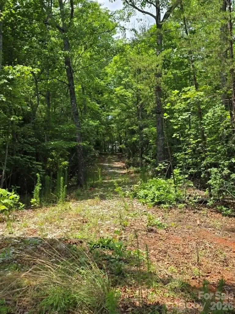169 Fairfield Lane Marion NC 28752