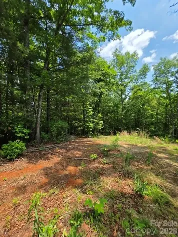 169 Fairfield Lane Marion NC 28752