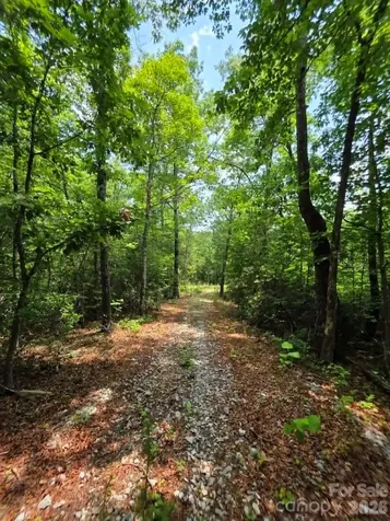 169 Fairfield Lane Marion NC 28752