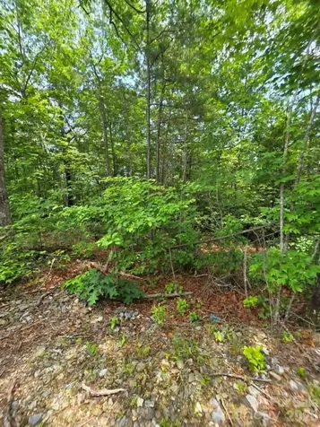 169 Fairfield Lane Marion NC 28752