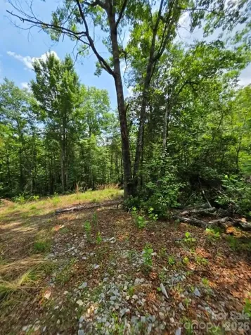 169 Fairfield Lane Marion NC 28752