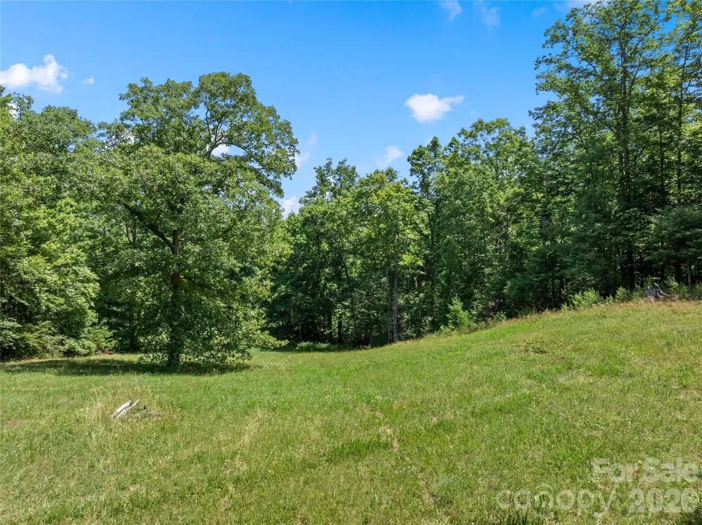 563 Burgess Road Mill Spring NC 28756