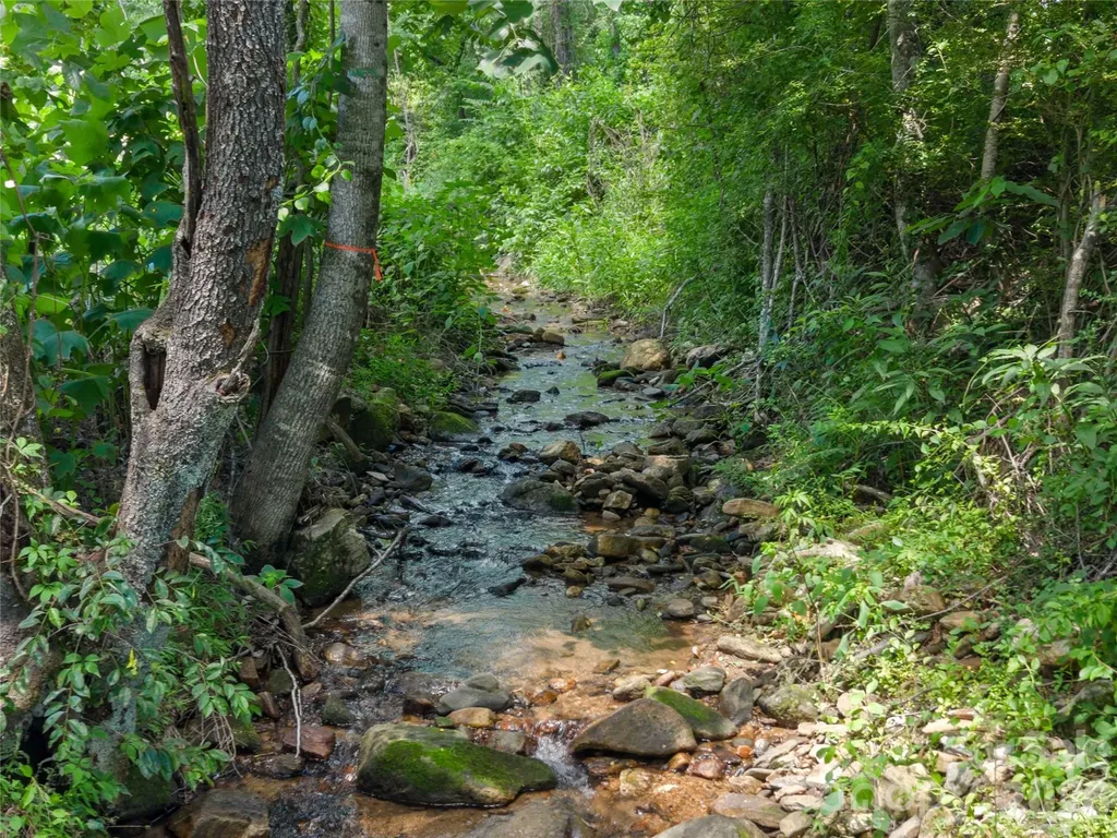 563 Burgess Road Mill Spring NC 28756