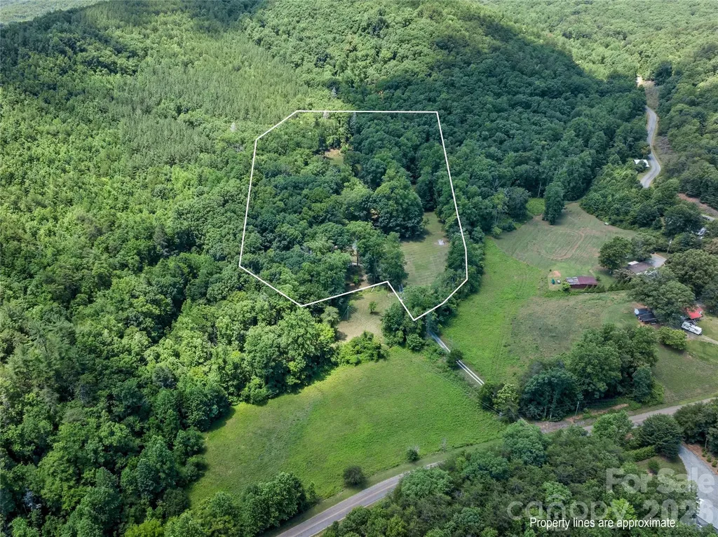 563 Burgess Road Mill Spring NC 28756