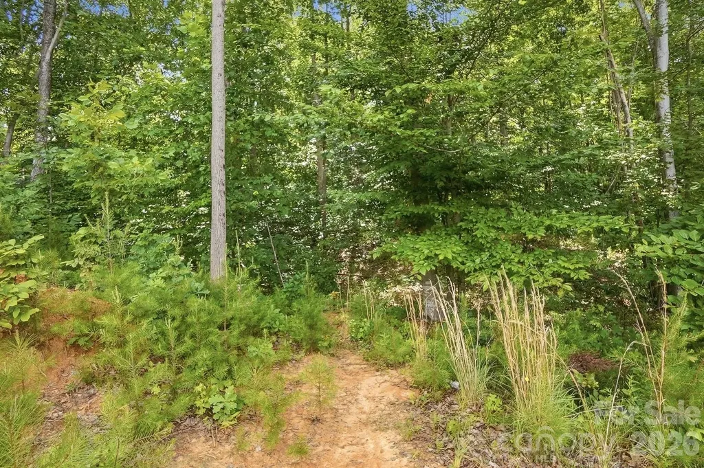 174 E Panther Creek Road Troutman NC 28166