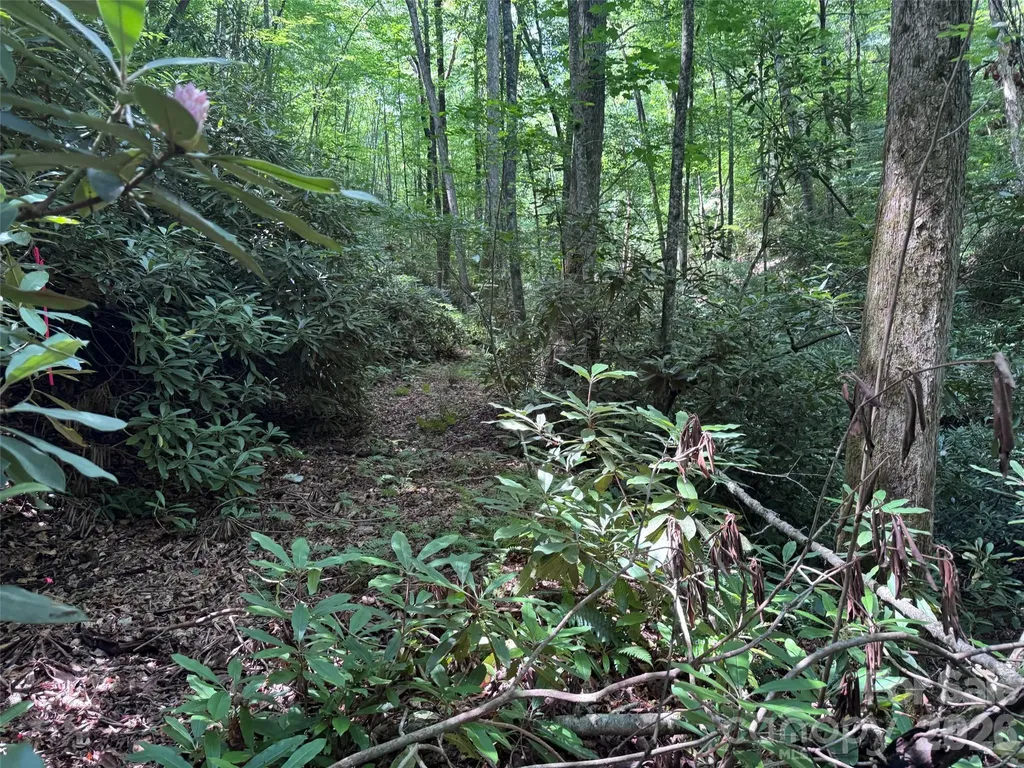 10A Reserve Road Brevard NC 28768