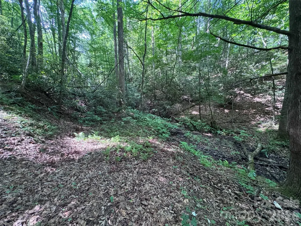 10A Reserve Road Brevard NC 28768