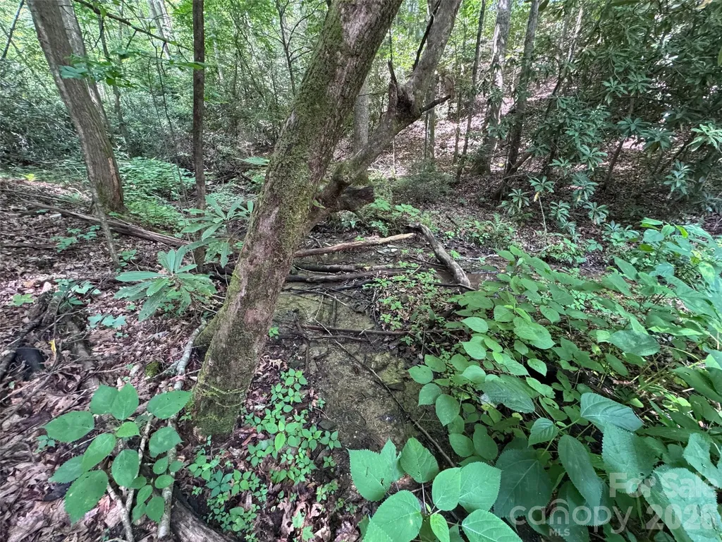 10A Reserve Road Brevard NC 28768