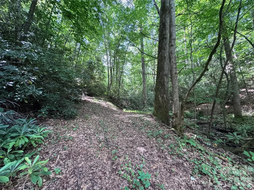 10A Reserve Road Brevard NC 28768