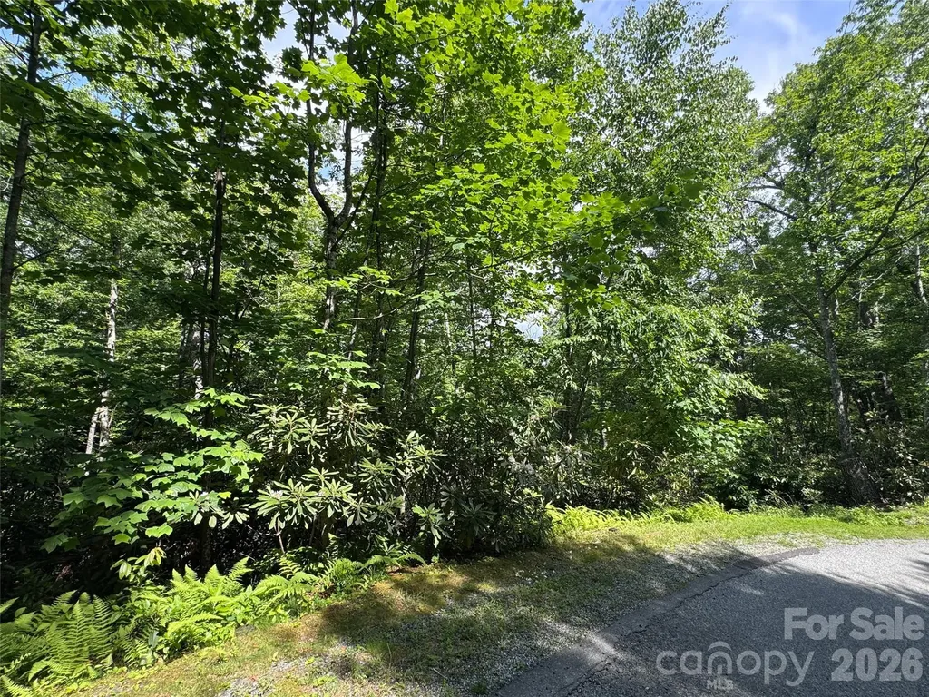10A Reserve Road Brevard NC 28768