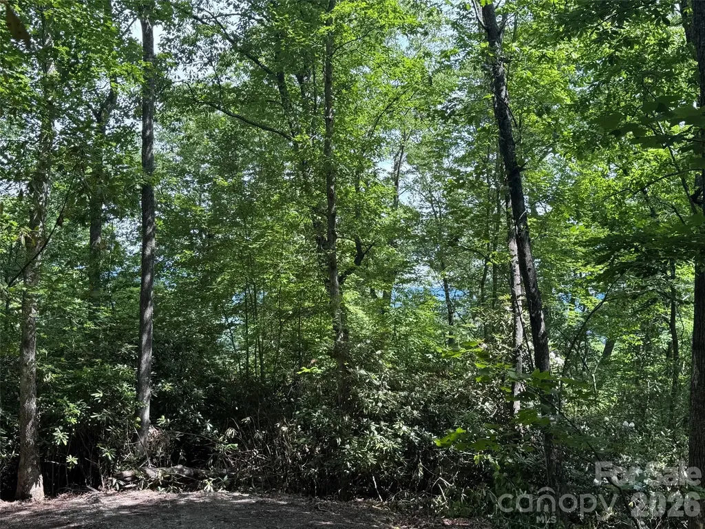 10A Reserve Road Brevard NC 28768