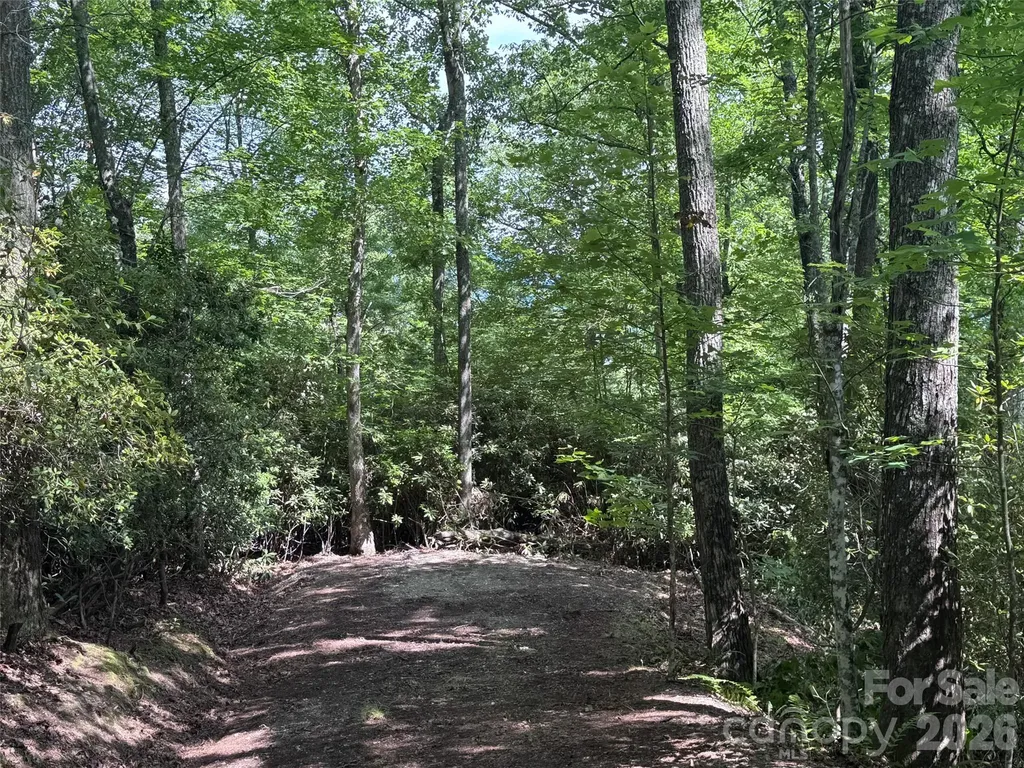 10A Reserve Road Brevard NC 28768