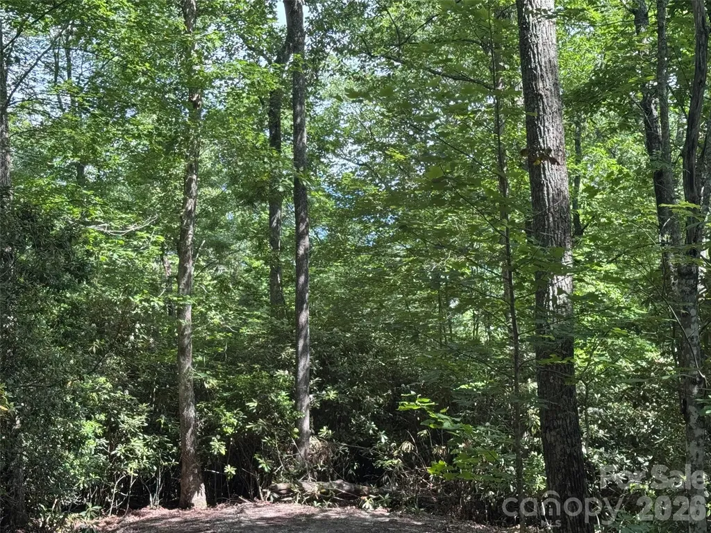 10A Reserve Road Brevard NC 28768