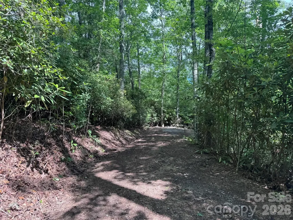 10A Reserve Road Brevard NC 28768