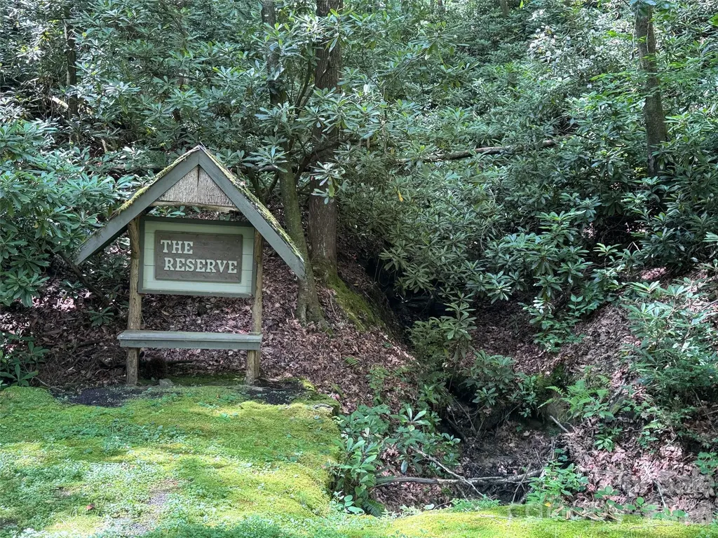 10A Reserve Road Brevard NC 28768