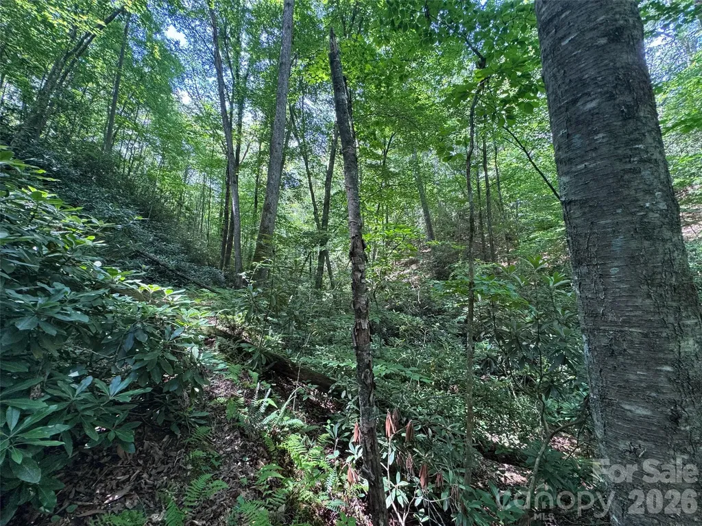 10A Reserve Road Brevard NC 28768