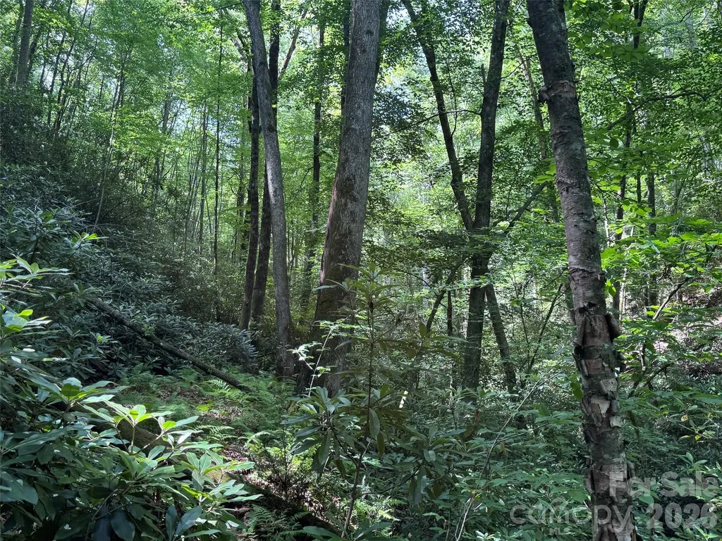 10A Reserve Road Brevard NC 28768