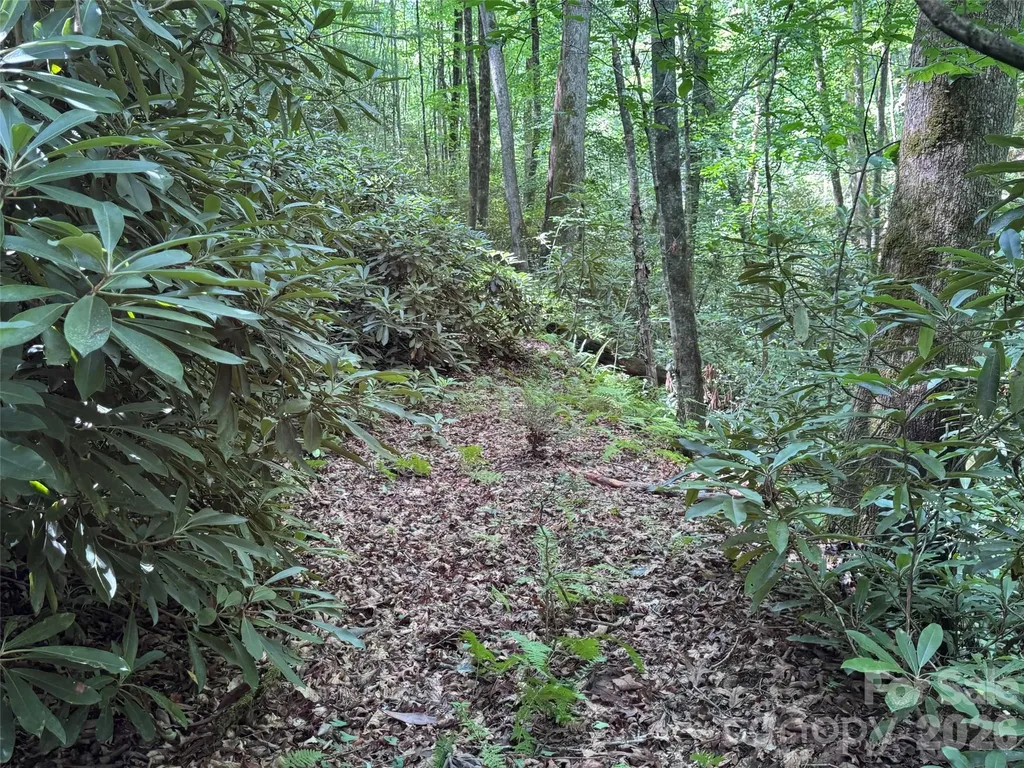 10A Reserve Road Brevard NC 28768