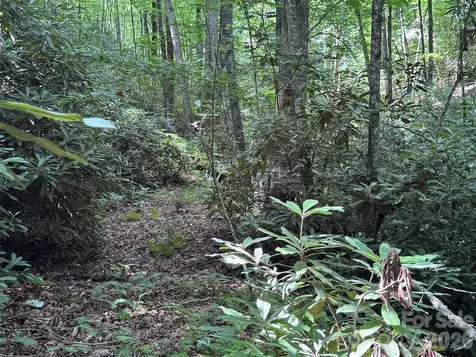 10A Reserve Road Brevard NC 28768