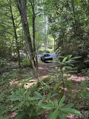10A Reserve Road Brevard NC 28768