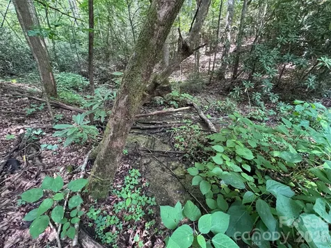 10A Reserve Road Brevard NC 28768