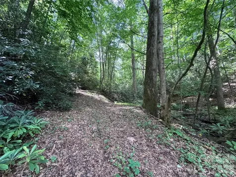 10A Reserve Road Brevard NC 28768