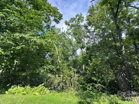 10A Reserve Road Brevard NC 28768
