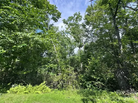 10A Reserve Road Brevard NC 28768