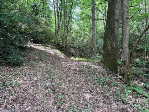 10A Reserve Road Brevard NC 28768