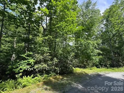 10A Reserve Road Brevard NC 28768