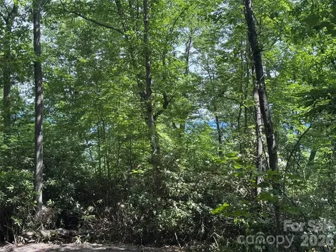 10A Reserve Road Brevard NC 28768