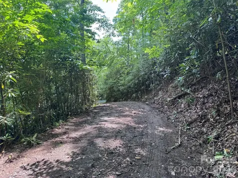 10A Reserve Road Brevard NC 28768