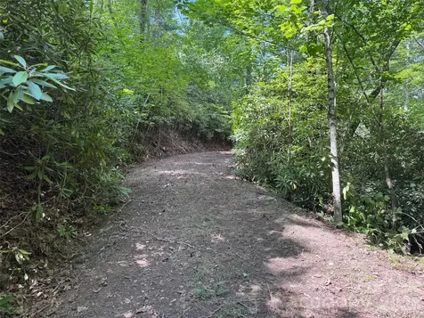 10A Reserve Road Brevard NC 28768