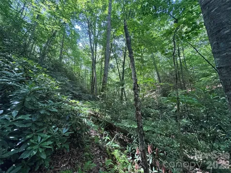 10A Reserve Road Brevard NC 28768